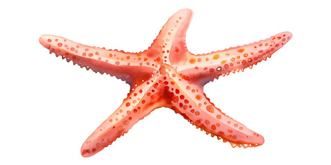 Watercolor Sea Star with Soft Coral Hue &ndash; PNG