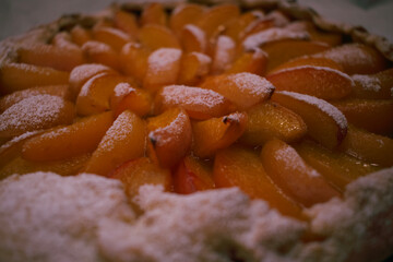 Apricot galette made from cottage cheese dough, dusted with powdered sugar