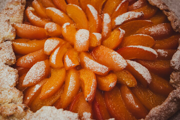 Apricot galette made from cottage cheese dough, dusted with powdered sugar