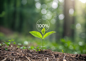 shows a vibrant green plant sprouting from the soil in a forest setting. The plant has a circle with the number \"100%\" inscribed on it, suggesting a concept of completion or perfection.