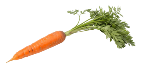 Carrot with green tops isolated on transparent background