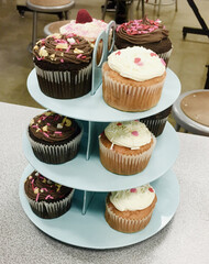 Tiered Cupcake Stand with Chocolate and Vanilla Frosting