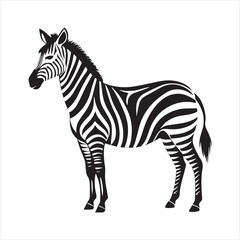 Obraz premium plain zebra silhouette vector illustration
