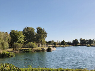 Lake With Stone Bridge and Trees