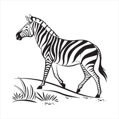 plain zebra silhouette vector illustration