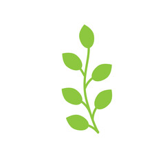 Fototapeta premium green leaf isolated vector illustration 