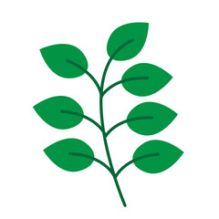 Flat Icon of Pastel Green Leaf with Decorative Veins for Eco Nursery Printables, Baby Wall Art, and Calm Botanical Themed Children’s Room Decor 