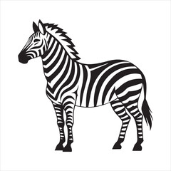plain zebra silhouette vector illustration