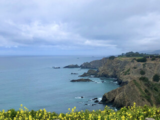 Naklejka premium Coastal Cliffs and Wildflowers