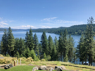Lake View Through Evergreen Forest