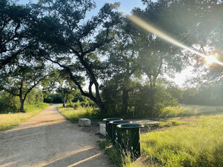 Sunlight Filtering Through Shaded Trail