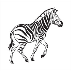 plain zebra silhouette vector illustration