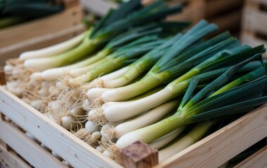 A close up shot of fresh scallions in a wooden crate