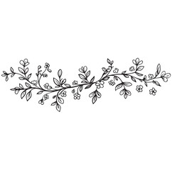 Hand Drawn Floral Vine Divider Black Line Art Illustration