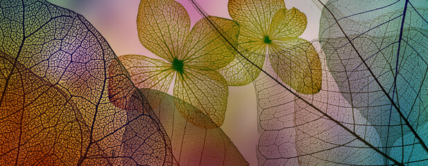 dewy flowers and grass with nice soft artistic bokeh