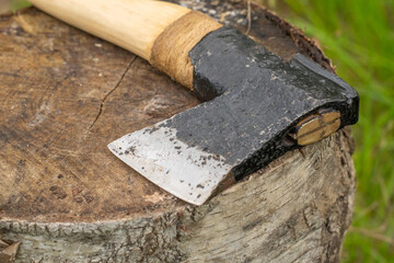 Finnish axe in a birch forest.