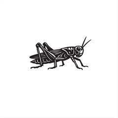 grasshopper