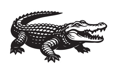 crocodile isolated on white background