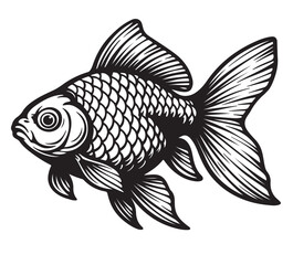 fish on a black background