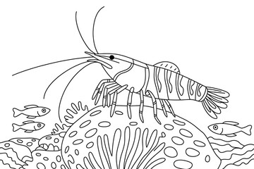 Shrimp on a coral reef, surrounded by fish.
