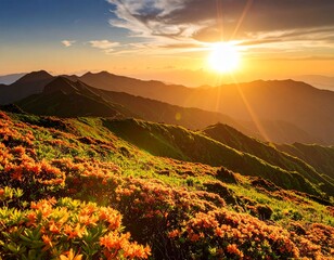 満開のハマナスが風に揺れる知床の丘、太陽が斜めから差し込む、コントラストの強い写真