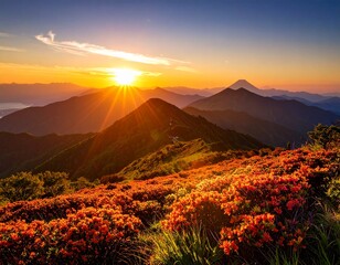満開のハマナスが風に揺れる知床の丘、太陽が斜めから差し込む、コントラストの強い写真