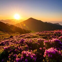 満開のハマナスが風に揺れる知床の丘、太陽が斜めから差し込む、コントラストの強い写真
