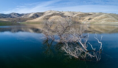 A submerged tree stands in the blue waters of San Luis Reservoir, Santa Nella, California, USA. The...