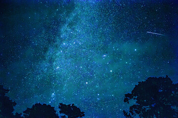 Shooting star observed on estern Gotland (in the Baltic Sea), Sweden.