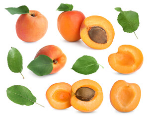 Fresh ripe apricot fruits and green leaves on white background, collage