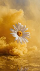 Floating daisy in golden clouds