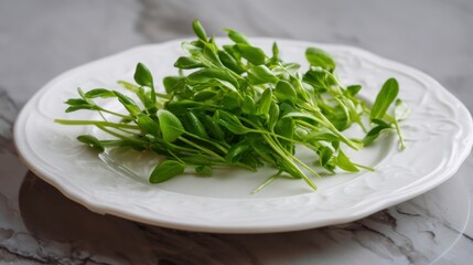 Fresh sprouts on white plate