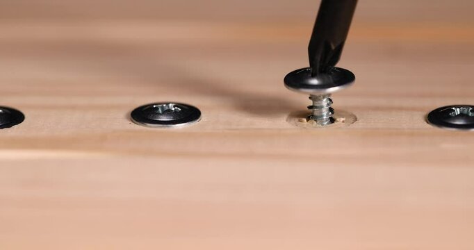 screw for fixing wooden boards , self-tapping screws with a drill tip twisted into a pine board