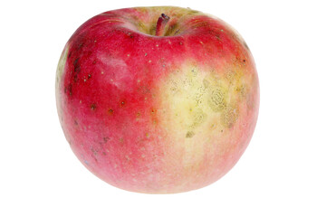 Apples on a white background
