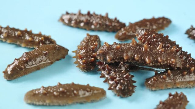 Raw sea cucumber trepang in water.