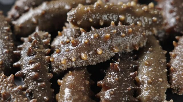 closeup of raw sea cucumber trepang