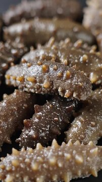 closeup of raw sea cucumber trepang