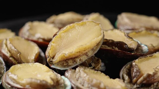 closeup of raw abalones background