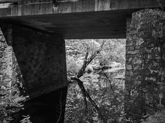 Infrared of Bridge
