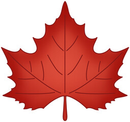 Fototapeta premium 붉은 단풍잎 벡터 일러스트 – Red Maple Leaf Vector Illustration