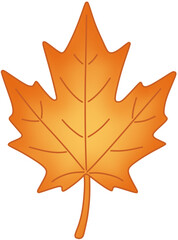 주황색 단풍잎 벡터 일러스트 – Orange Autumn Maple Leaf Vector