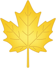 Obraz premium 노란 단풍잎 벡터 일러스트 – Yellow Autumn Maple Leaf Vector