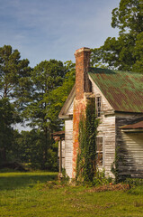 A view of the side of an old, abandoned house in the forest with a brick chimney and consumed with ivy in North Carolina USA.