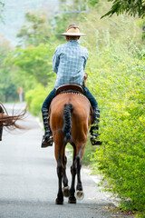 caballo
