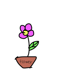 flower in a pot