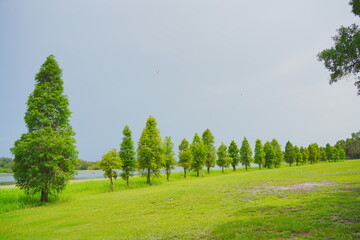 Plant city, Florida, USA: 06 22 2025: The landscape of Edward Medard Conservation Park in Plant City close to Tampa
