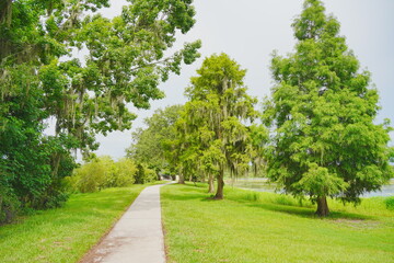 Plant city, Florida, USA: 06 22 2025: The landscape of Edward Medard Conservation Park in Plant City close to Tampa