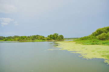 Plant city, Florida, USA: 06 22 2025: The landscape of Edward Medard Conservation Park in Plant City close to Tampa