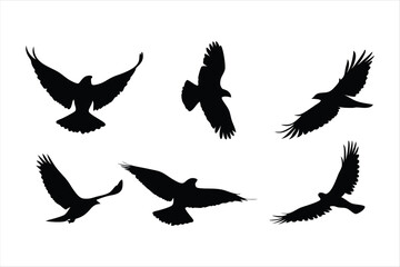 Flying Birds Silhouettes Collection - Majestic Eagle and Hawk Flight Vectors