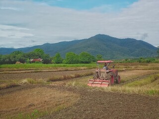 tractor in a field  local 